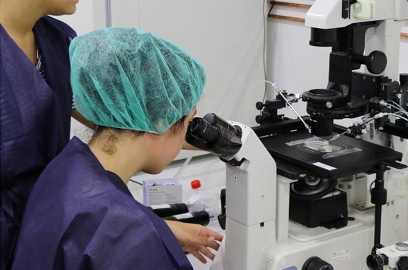 Entrenamiento en laboratorio